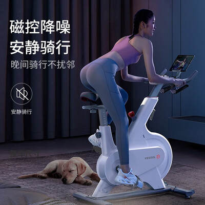 野小兽的跑步机怎么样（野小兽M1EV健身车质量烂不烂）-图片2