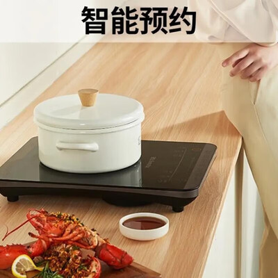 九阳 电磁炉（单机不配锅） C22L-C301