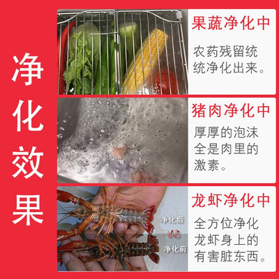 SUNDYLEE果蔬清洗机家用全自动净化器怎么样(圣帝尼果蔬清洗机怎么样)-图片1