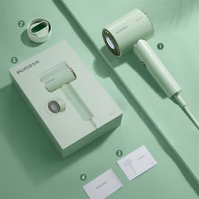 飞科（FLYCO） 吹风机 1600w  FH6310/FH6311/FH6312