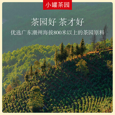 小罐茶 彩标单从茶 75g