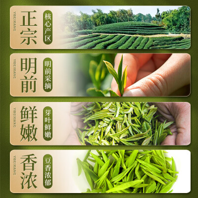 一杯香茶叶龙井绿茶 250g龙井茶值得手入吗（一杯香龙井茶哪款值得买）-图片5