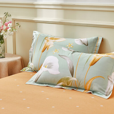 路易卡罗 彩悦纯棉四件套-艾莲娜 LK-6346 200*230cm