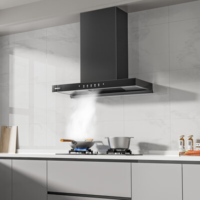 帅康油烟机哪个系列好（帅康CXW-300-T8233油烟机大吸力家用欧式油烟机好不好）