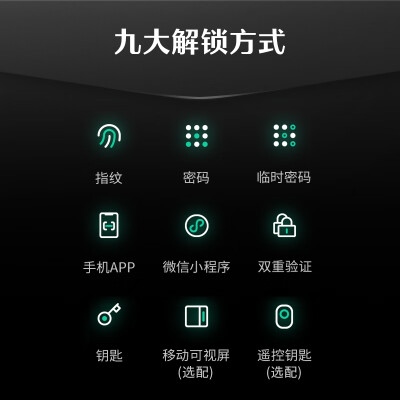 德施曼Q50MPro智能锁好不好（德施曼智能锁是哪个国家的品牌）-图片3