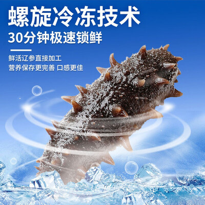 不可错过！海洋世家即食海参的8大震撼功能！