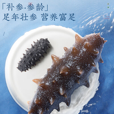 同仁堂同仁堂即食海参1500g质量烂不烂（同仁堂海参怎么吃啊）