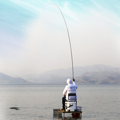 神鲨黑韧鱼竿怎么样？揭秘真实用户的心声！