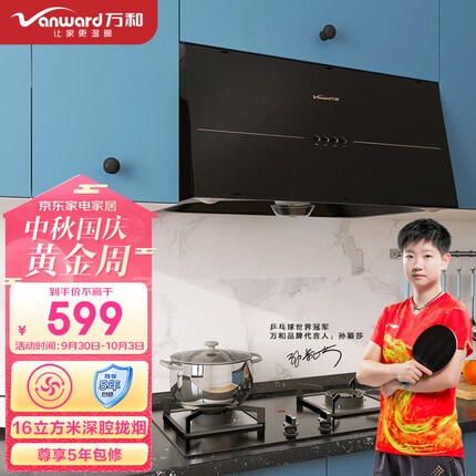 万和 Vanward 抽油烟机 中式油烟机 16m³/min大吸力 一级能效 小尺寸 家用吸油烟机 钢化玻璃H05GS