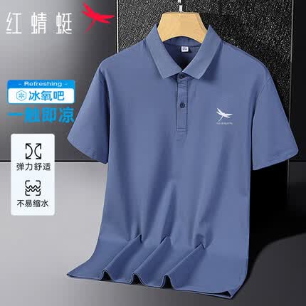 红蜻蜓(RED DRAGONFLY)短袖t恤男纯色休闲时尚简约polo舒适透气上衣打底衫 雾霾蓝 XL