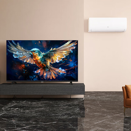 TCL雷鸟 32英寸电视 雀5SE 超薄电视机&TCL 大1匹 新三级能效 变频冷暖 第六感 壁挂式空调挂机