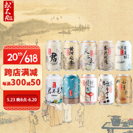 或不凡 国产精酿啤酒 浆进酒连字组合 黄河之水浑浊IPA 果泥 酸啤酒 10口味 330ml*10