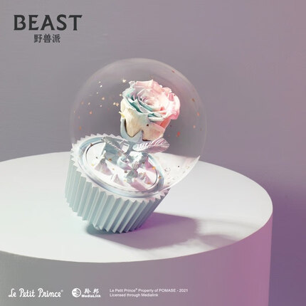 野兽派（THE BEAST）小王子音乐水晶球告白星球永生花礼盒生日礼物