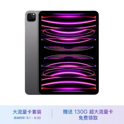 Apple iPad Pro 11英寸平板电脑 2022年款 128G 5G版/M2芯片 MNYN3CH/A 深空灰色 大流量卡套装