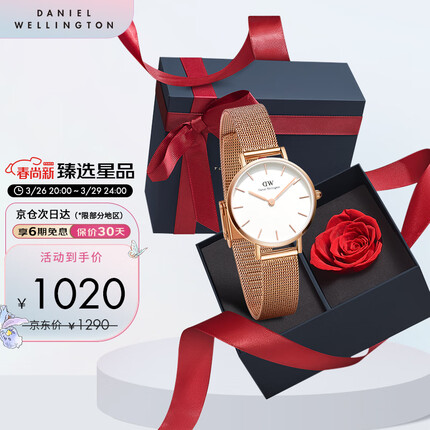丹尼尔惠灵顿（DanielWellington）DW手表女简约欧美表28mm钢带石英女士手表生日礼物DW00100219
