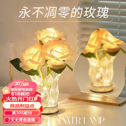 万火毕业礼物女送女同学老师女生生日礼物女送女友女朋友闺蜜走心实用 香槟玫瑰夜灯/摆件/台灯+可调光