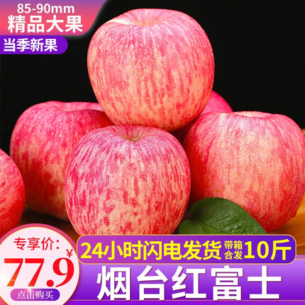 烟台苹果山东烟台苹果栖霞红富士 脆甜当季新鲜水果时令生鲜整箱 优选10斤 一级大果85-90mm