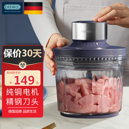 OIDIRE德国OIDIRE 绞肉机 家用小型电动绞子肉馅绞肉机多功能绞馅机料理机碎肉机搅肉机辅食机打肉机 ODI-JR60 巴洛紫 经典升级款