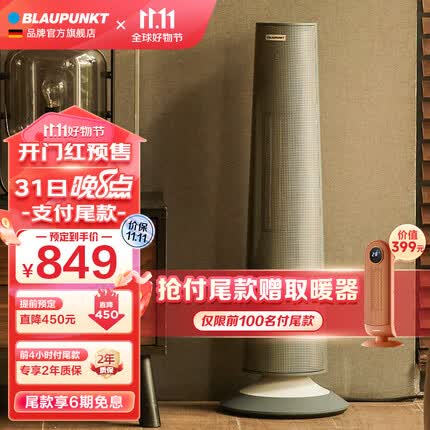 蓝宝（BLAUPUNKT） 取暖器暖风机取暖器广角供暖家用客厅卧室电暖器气速热电热风机扇 【取暖器H16-太空灰】4组陶瓷大面积速热/氛围灯