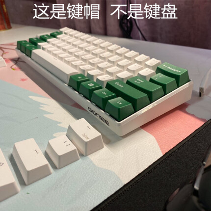 魔力鸭机械键盘 IKBC C200 C87 C104魔力鸭高斯机械键盘 14颗彩色蓝红绿黄色键帽 PBT正刻十四颗绿色白色字体 带塑料拔键器 标配