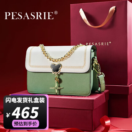 柏萨尼品牌包包女包轻奢单肩包斜挎手提小方包 绿拼白 PESASRIE