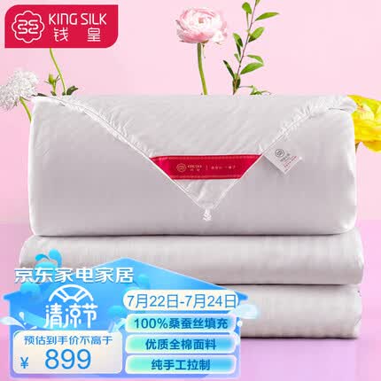 钱皇 被芯 100%桑蚕丝被子 二合一蚕丝子母被 四季被夏凉被 全棉面料春秋被 白露被重约3+5斤200*230cm