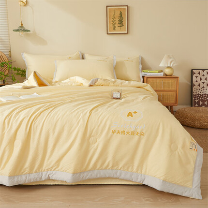 恒源祥大豆被芯 A+质感暖柔被子双人200*230cm 5斤四季被