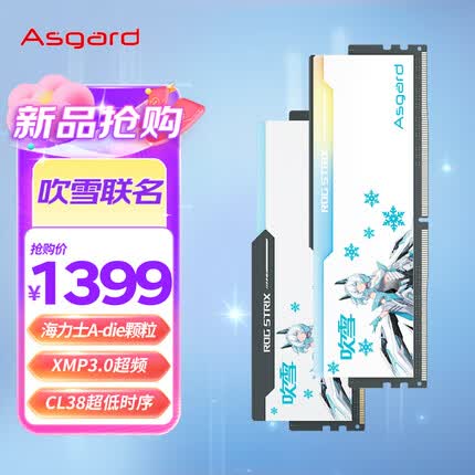 阿斯加特（Asgard）32GB(16GBx2)套装 DDR5 6800 台式机内存 RGB灯条 吹雪联名款 海力士A-die颗粒(CL38)
