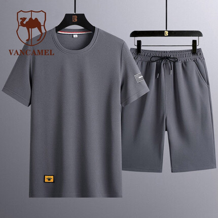 西域骆驼短袖T恤男士夏季两件套薄款冰丝透气运动套装跑步运动服上衣五分裤男 灰色 XL（VanCamel）