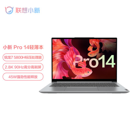 联想小新Pro14标压锐龙版14英寸全面屏轻薄笔记本电脑