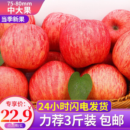 烟台苹果山东烟台苹果栖霞红富士 脆甜当季新鲜水果时令生鲜整箱 精选3斤 中大果75-80mm