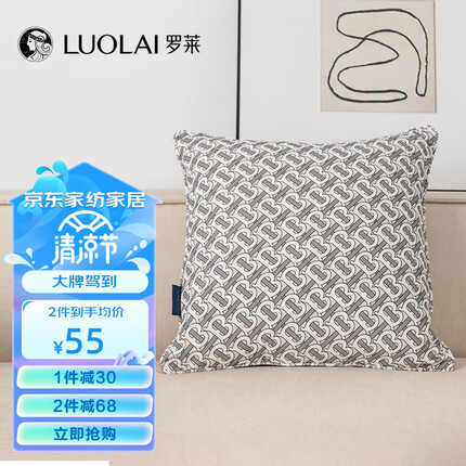 罗莱（LUOLAI）抱枕靠垫沙发床头靠枕办公室座椅车载靠背靠腰 典雅巴黎灰