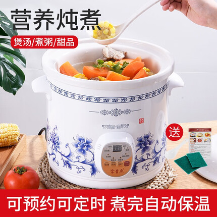 源趣家用全自动白瓷电炖锅煲汤锅电砂锅迷你陶瓷炖汤养生锅熬煮粥神器 快慢预约款【快慢炖+预约+保温】3.5L适2-5人