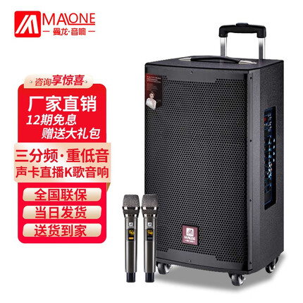 曼龙（MALONE）户外音响网红直播唱k歌广场舞便携拉杆音箱大功率重低音带声卡无线话筒蓝牙扩音器 M-12S吋锂电池版+2原装话筒+礼品