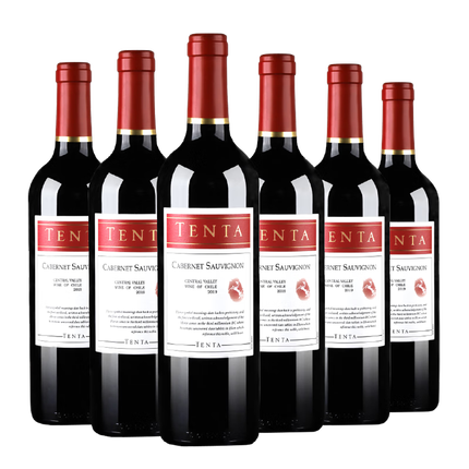 天帕智利中央山谷原瓶进口红酒卡本妮苏维翁天帕红干红葡萄酒6瓶750ml 天帕红整箱