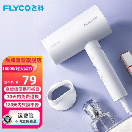 飞科（FLYCO） 便携电吹风机负离子家用大功率深度养发吹风筒速干可折叠 【1800W速干】负离子FH6276-奶白色