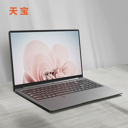 天宝 15.6英寸轻薄笔记本电脑 全新四核超极本商务云远程办公手提 超赞学生网上课堂国行2022新品 四核N5095/12GB内存 512GB固态硬盘/指纹解锁