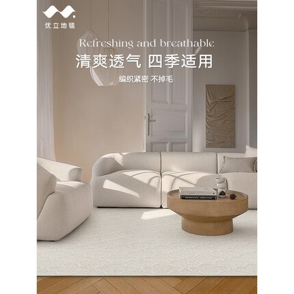 优立地毯凉感羊毛地毯客厅家用高级轻奢现代简约百搭茶几毯卧室地毯 目白01 200*290cm