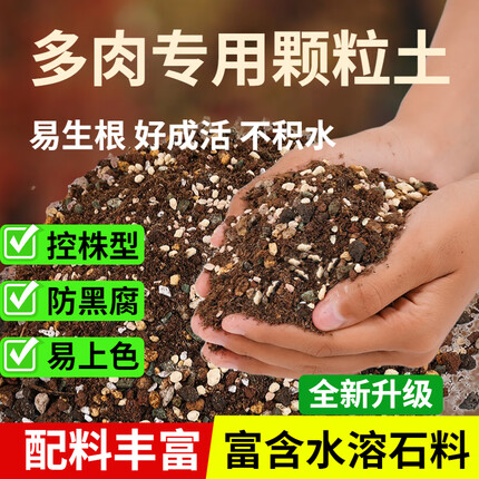 花大师 多肉营养土专用颗粒土多肉土壤盆栽种植土幼苗成苗老桩透气土 豪华多肉土5斤 幼苗成苗通用