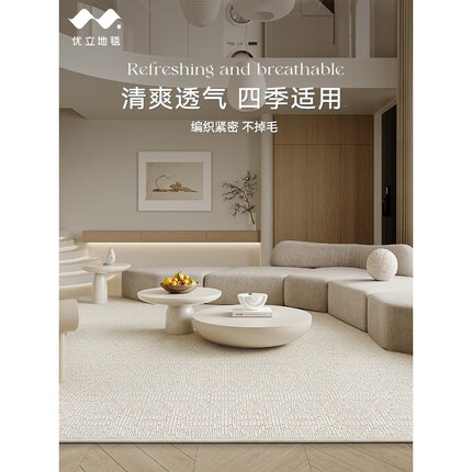 优立地毯凉感羊毛地毯客厅家用高级轻奢现代简约百搭茶几毯卧室地毯 目白05 300*400cm