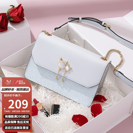 NUCELLE包包女包新百搭ck轻奢风女士包包单肩斜挎小众ins女生包包