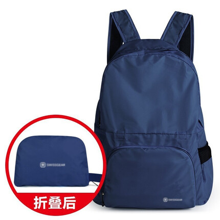 REGIUS休闲折叠包三用背包轻便防泼水收纳双肩包户外运动旅行便携小包