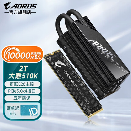 AORUS PCIE4.0 5.0 固态硬盘M.2 nvme协议2280笔记本台式电脑PS5升级 大雕510K 2T 读取10000 写入9500