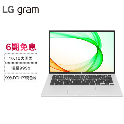 LG gram 2021款14英寸超轻薄窄边框 16:10大画面 学生商务办公笔记本电脑(11代i5 8G 256G 锐炬显卡 雷电4)银