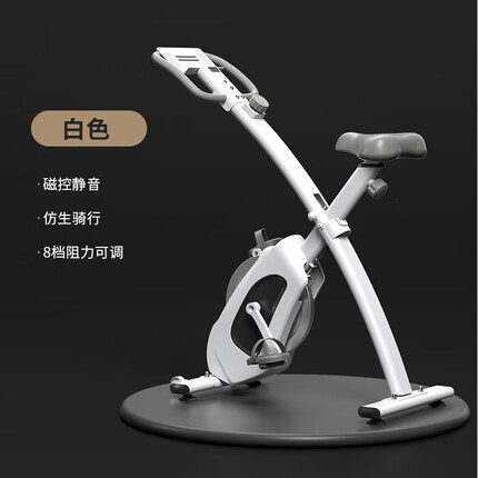 施耐德 动感单车家用静音运动减肥器材室内可折叠健身Mini自行车 白色【磁控/静音/可折叠】