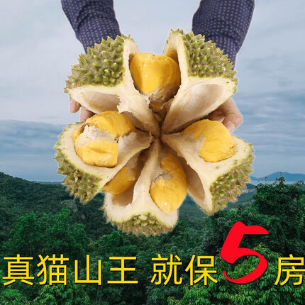 猫山王榴莲冷冻新鲜马来西亚 特选果3.0-3.6斤体验中果 保5房