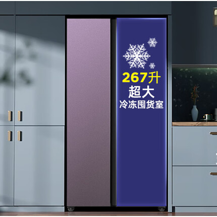 奥马(Homa) 533升冰箱对开门超大冷冻空间 无霜双变频 一级能效 蓝晶除菌率99.99%