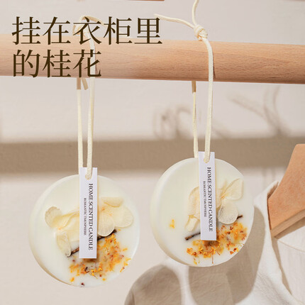 菓凯桂花衣柜香薰蜡片衣橱香片家用室内持久卧室除味衣服香氛挂件 【单片装】桂花蜡片(圆形)