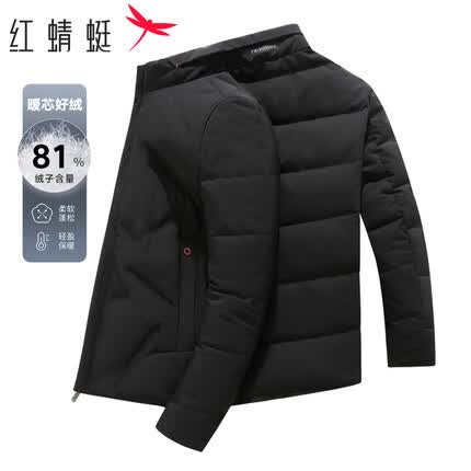 红蜻蜓(RED DRAGONFLY)羽绒服男冬季商务休闲鸭绒保暖防风防寒舒适立领男外套 黑色 XL