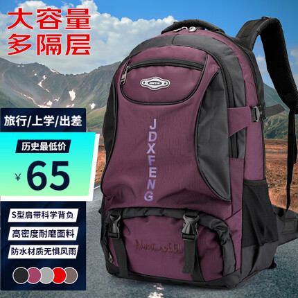 格尔顿背包男旅行包双肩包大容量书包户外旅游登山包 紫色